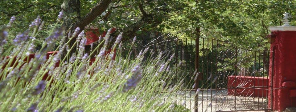Les Mayombes Bed & Breakfast Roquebrune-sur-Argens
