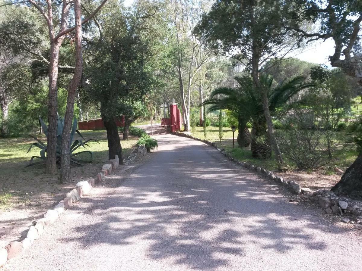 Les Mayombes 3*